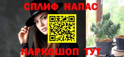 PSILOCYBIN Балахна