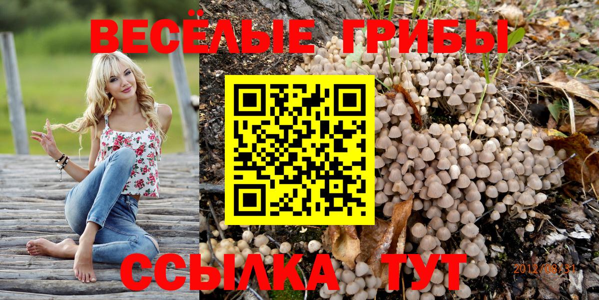 Галлюциногенные грибы GOLDEN TEACHER Борисоглебск